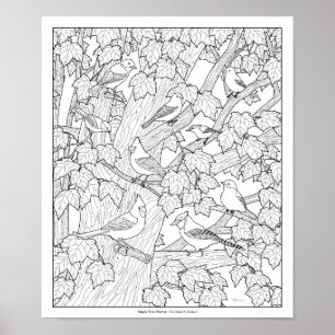 Fåglar och pärla Träd Vuxen Färgsida 12"x10" Poster