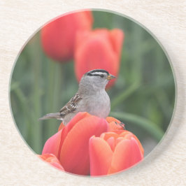 Fåglar och tulpaner Blommigt Sandstone Underlägg