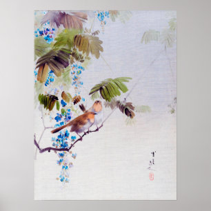 Fåglar och Wisteria Flowers, Watanabe Seitei Poster