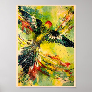 Fåglar Öga View Poster