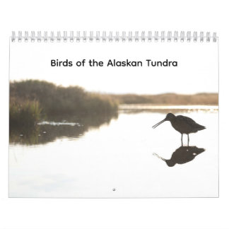 Fåglar på Alaskas tundra kalender