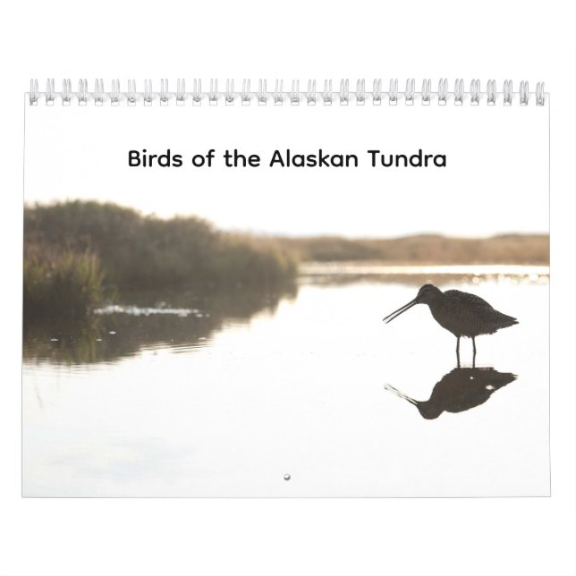 Fåglar på Alaskas tundra kalender (Omslag)