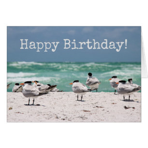 Fåglar på Beach Birthday Hälsningskort