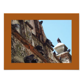 Fåglar på Chapel vid Gamla San Juan Fototryck