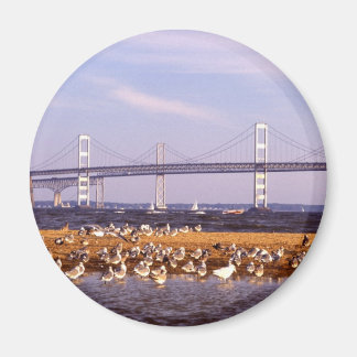 Fåglar på Chesapeake Bay Magnet