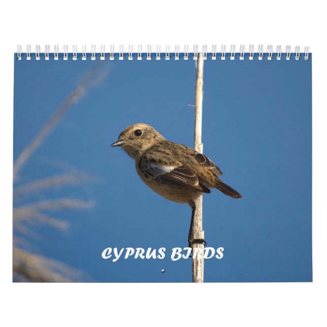 Fåglar på Cypern kalender (Omslag)