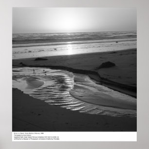 Fåglar på en Beach, Santa Barbara, 1966 Poster