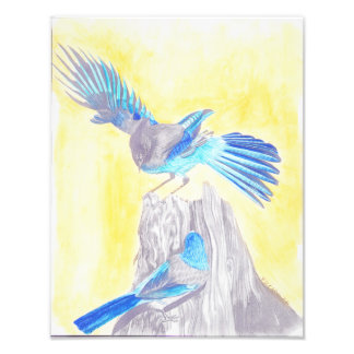 Fåglar på en stump fototryck