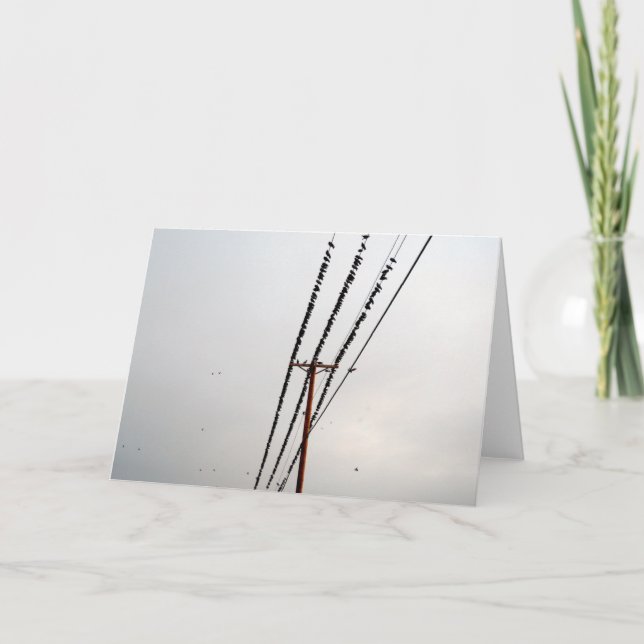 Fåglar på en trål helgkort (Framsida)