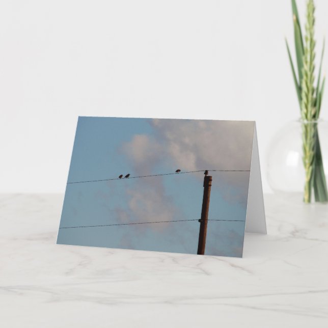 Fåglar på en trål kort (Framsida)