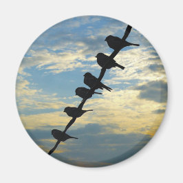 Fåglar på en trål magnet