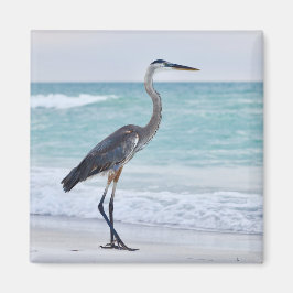 Fåglar på Floridas stränder Magnet