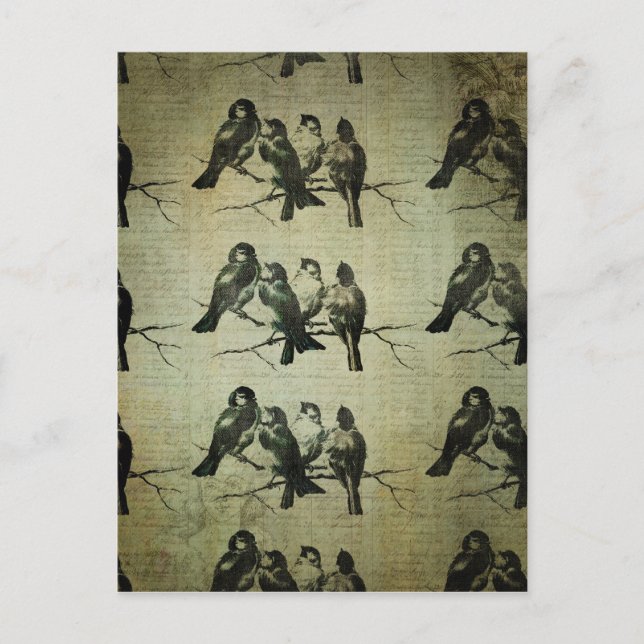 Fåglar på Gren Bält Vykort (Framsida)