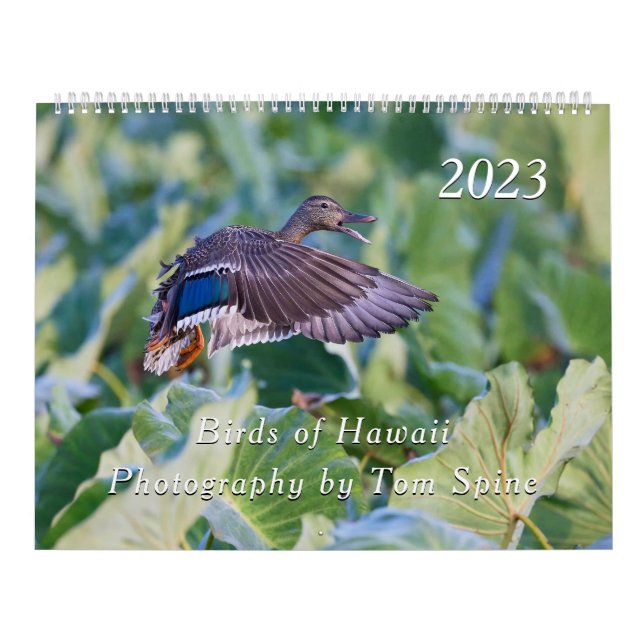 Fåglar på Hawaii - 2023 års kalender (Omslag)
