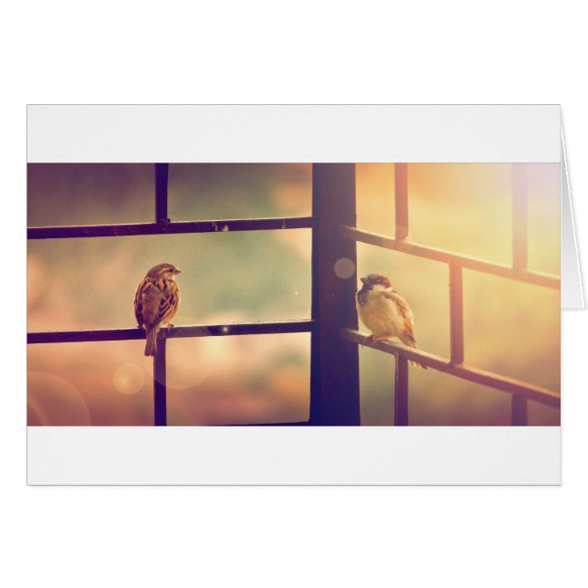 Fåglar på kvällen sol hälsningskort (Framsidan Horizontal)