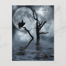 Fåglar på natten vykort