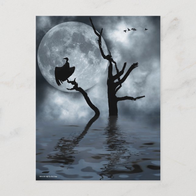 Fåglar på natten vykort (Framsida)