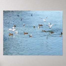Fåglar på sommarfloden poster