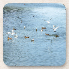 Fåglar på sommarfloden underlägg