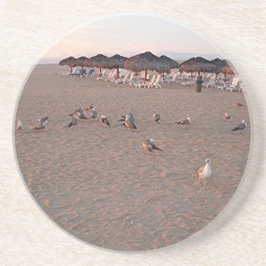 Fåglar på stranden i Cabo Underlägg Sandsten