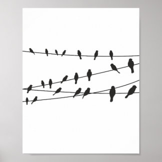 Fåglar på svart, svart, vit Poster konsthår