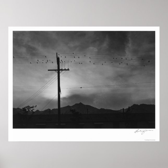 Fåglar på tråd, kvällstid 1943 poster (Framsidan)