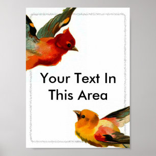 Fåglar Ram 2, din text på detta område Poster