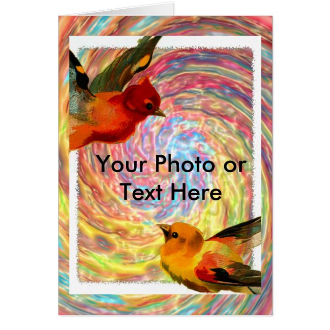 Fåglar Ram 2, foto eller text här Hälsningskort (Framsidan)