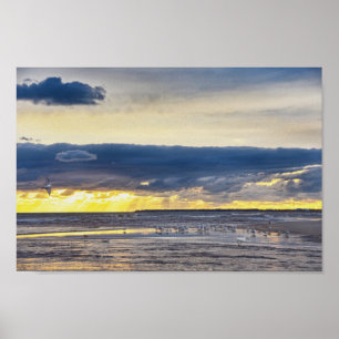 Fåglar samlas på en strand i Florida vid soluppgån Poster