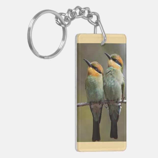 Fåglar ser ut så här (Vänstra Framsidan)