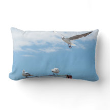 Fåglar Sitta Fiskmås vid Blå himmel