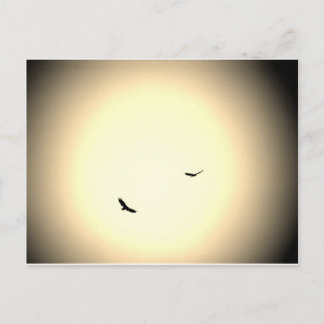 Fåglar som är fria i himmel vykort