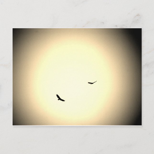 Fåglar som är fria i himmel vykort (Framsida)