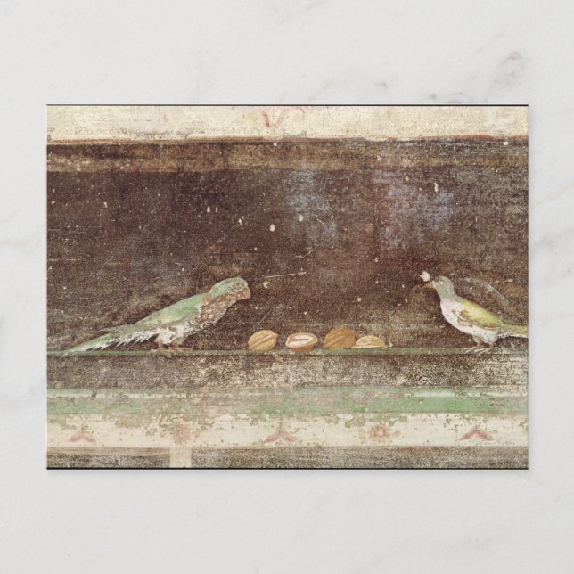 Fåglar som äter nöt vykort (Framsida)