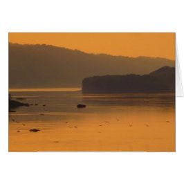 Fåglar som flyger över Vatten vid Sunset Hälsningskort