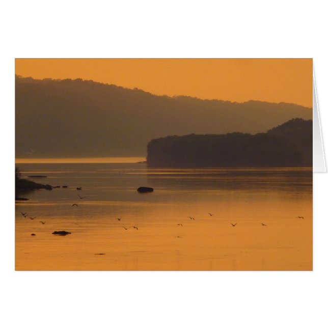 Fåglar som flyger över Vatten vid Sunset Hälsningskort (Framsidan Horizontal)