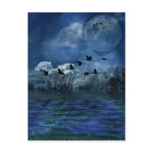 Fåglar som flyger på natten