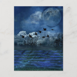 Fåglar som flyger på natten vykort