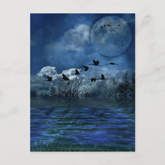 Fåglar som flyger på natten vykort (Framsida)