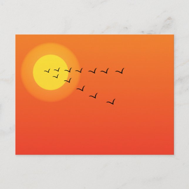 Fåglar som flyger till sol vykort (Framsida)