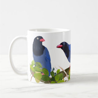 Fåglar --Taiwansk blåskata Kaffemugg