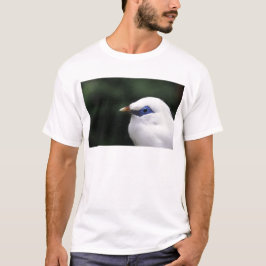 Fåglar Tee