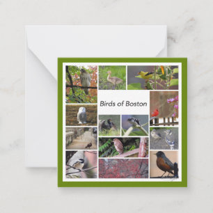 Fåglar till Boston Photo Collage Anteckningskort