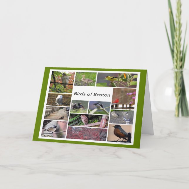 Fåglar till Boston Photo Collage Kort (Framsida)