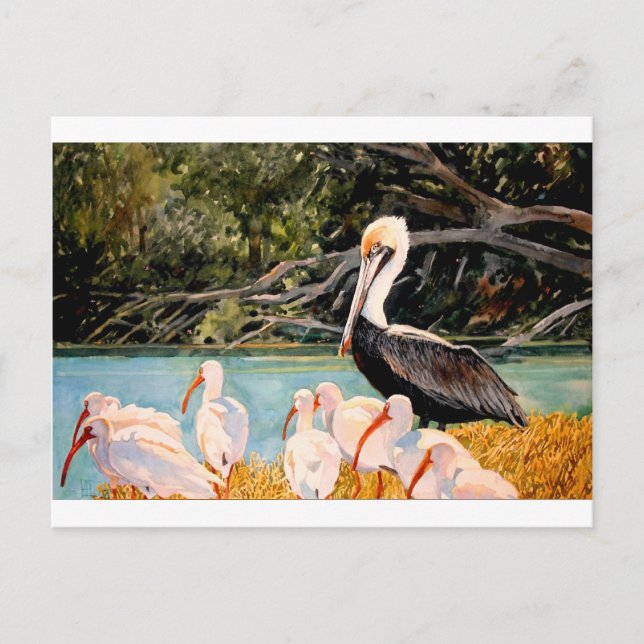 Fåglar till en fjäder vykort (Framsida)