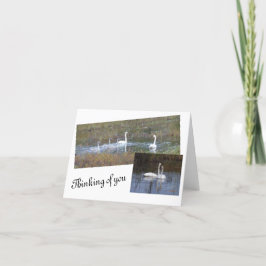 Fåglar till ett luddigt tankkort tack kort