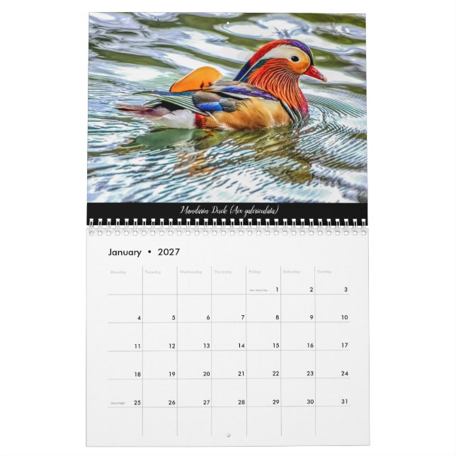 Fåglar till skogen av Dean 2021 Kalender (Jan 2027)