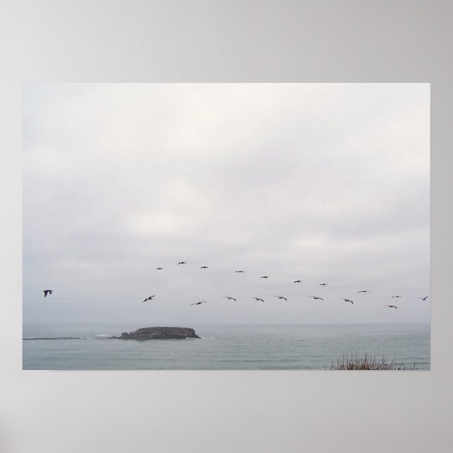 Fåglar under flygning poster (Framsidan)