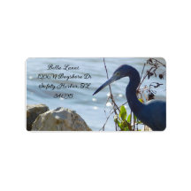 Fåglar vid Bay Little Blue Heron Safety Harbor