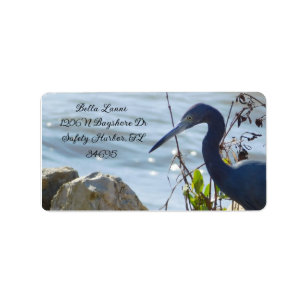 Fåglar vid Bay Little Blue Heron Safety Harbor Adressetikett